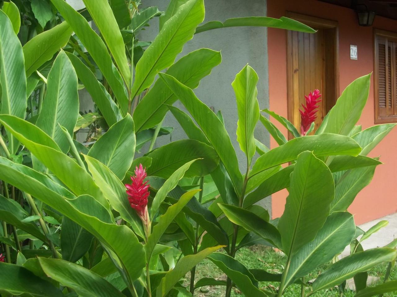 Pousada Das Maritacas Ilhabela Exterior foto